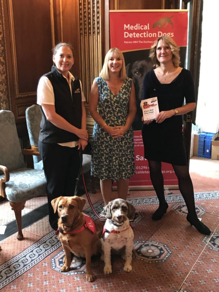Medical detection dogs sniff out covid-19