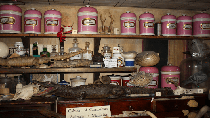 apothecaries