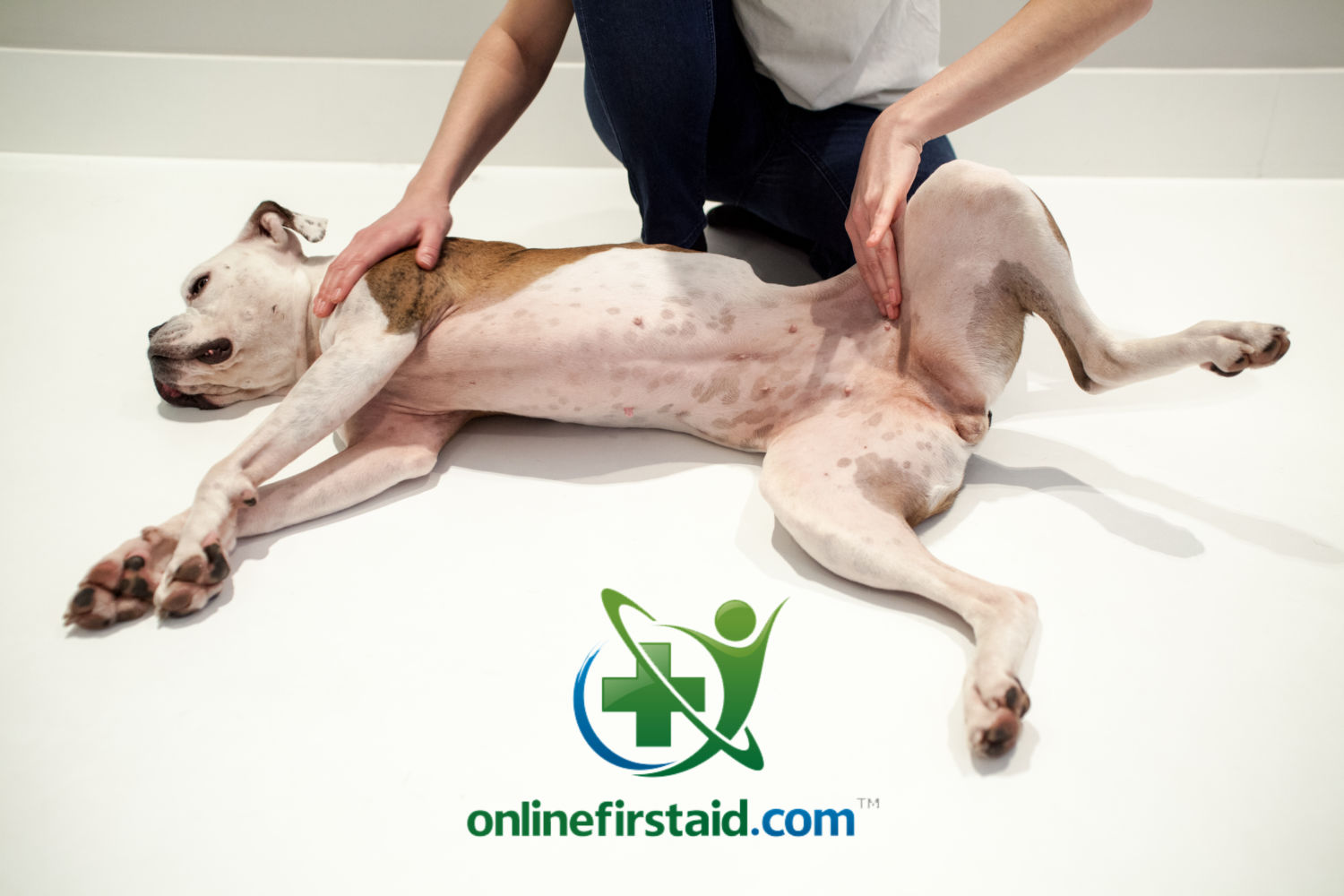 boo lying recovery position