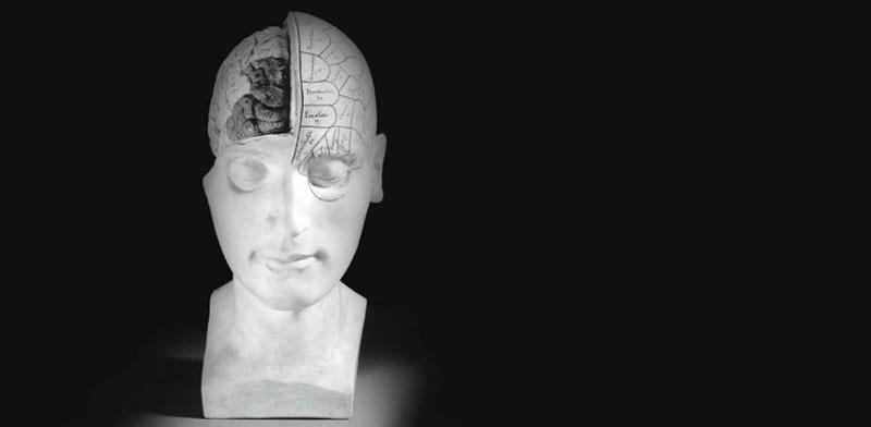 Statue head showing brain - Journeys through Medicine