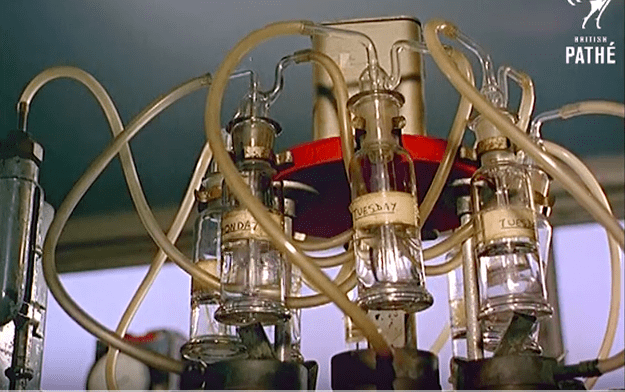 The Hippocratic Post - pollution