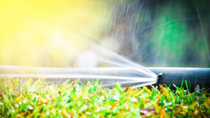 Alcohol-related liver disease