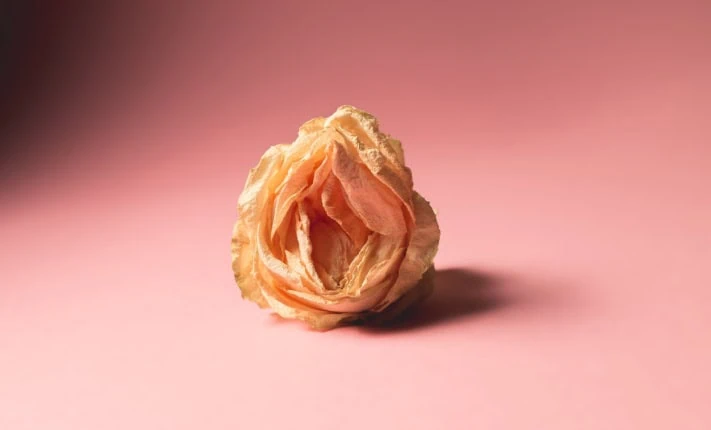 Menopausal Sexual Health