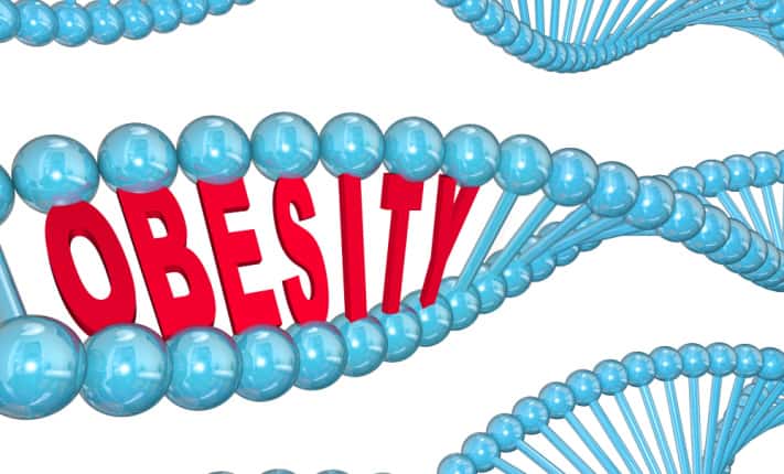 obesity-related genes