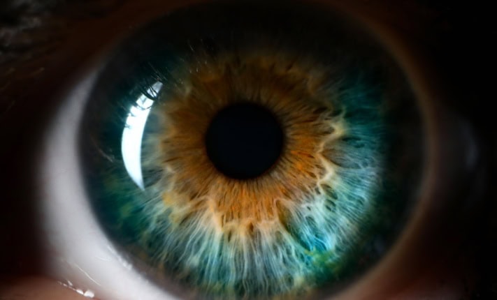 HIV drug improves vision