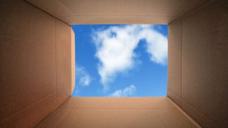 The Association of Photographers