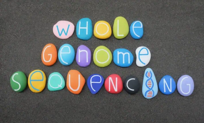 whole genome
