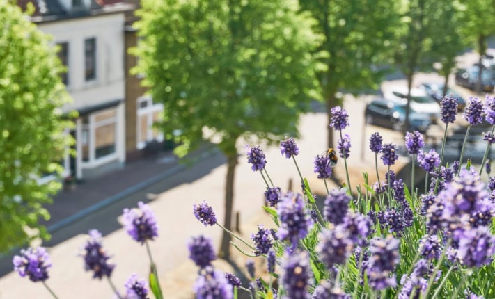 longer pollen seasons