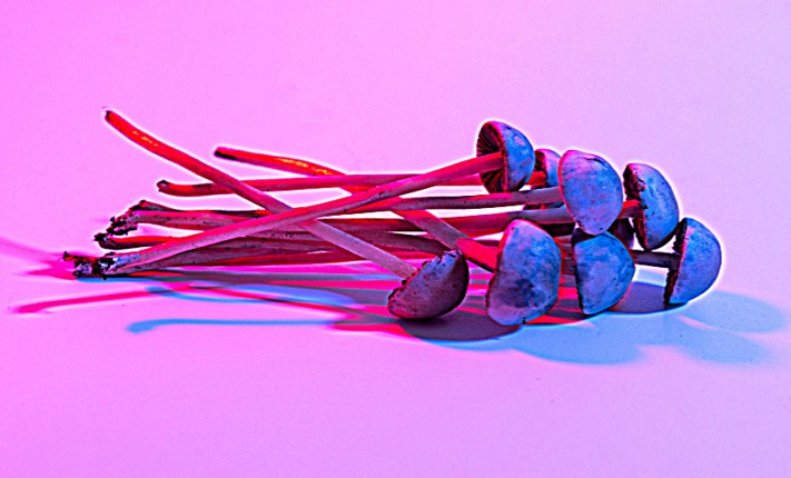 psychedelic experiences