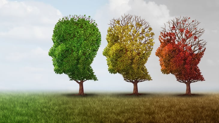 The Bionics Institute