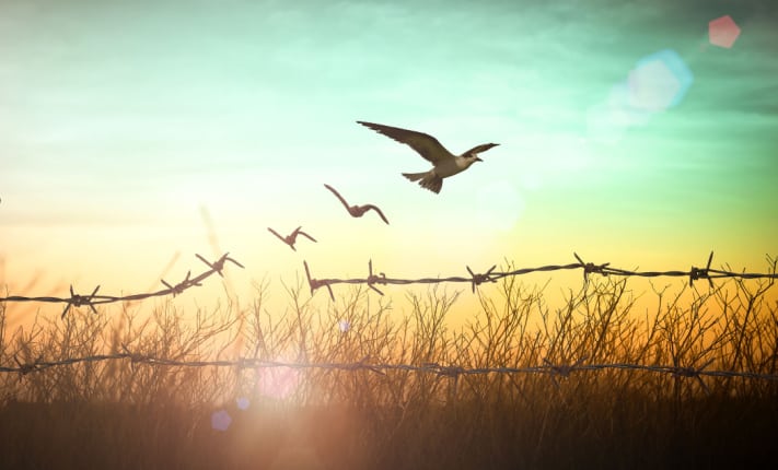 Restrictive practices