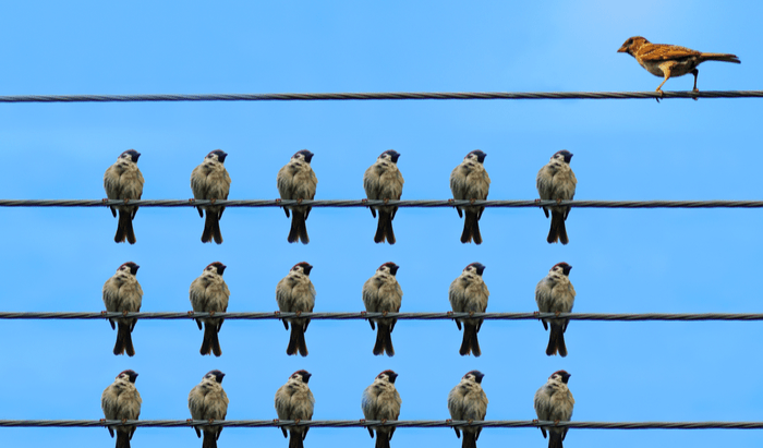 The Hippocratic Post