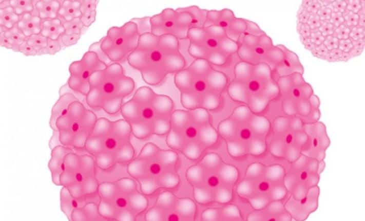 Cervical Screening Awareness Week 2023