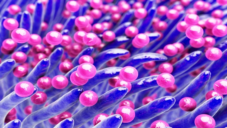 The Hippocratic Post - bacteraemia