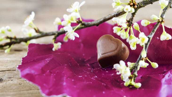 The Hippocratic Post - dark chocolate