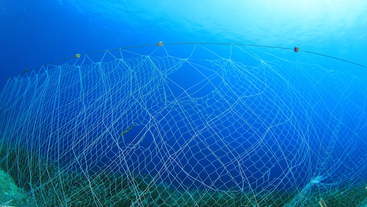 The Hippocratic Post - antidepressant