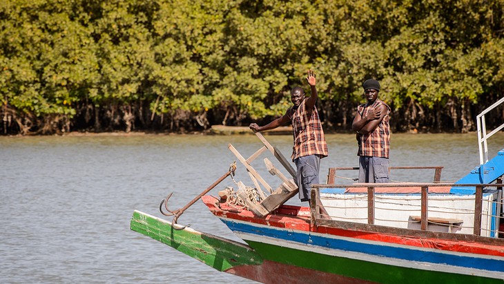 The Hippocratic Post - HepB