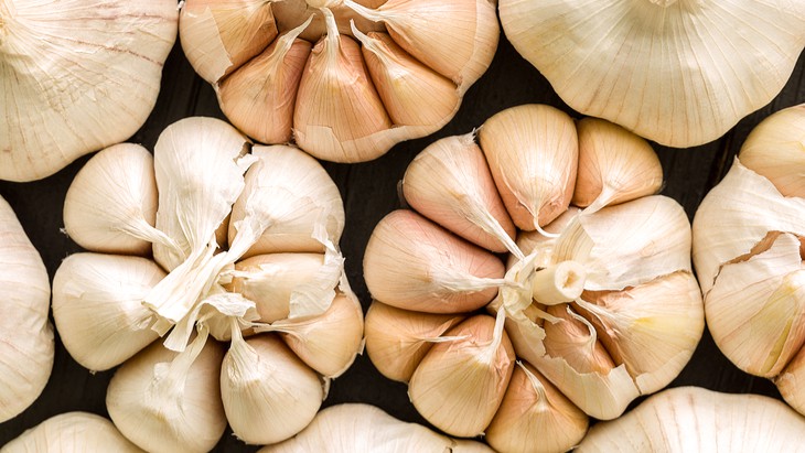 garlic
