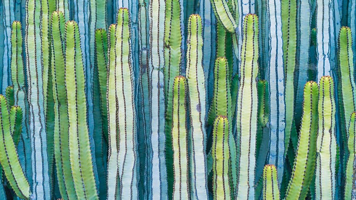 The Hippocratic Post - HPV