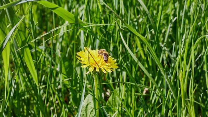 The Hippocratic Post - immunotherapy