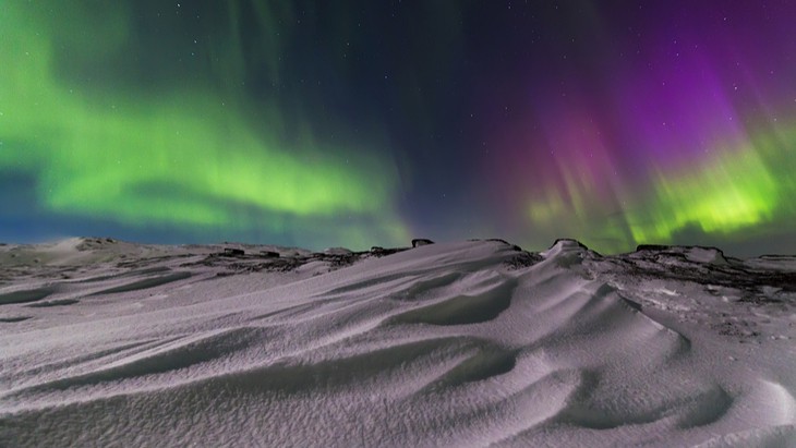 The Hippocratic Post - wound care