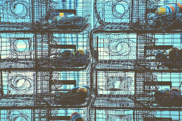 The Hippocratic Post - doctors