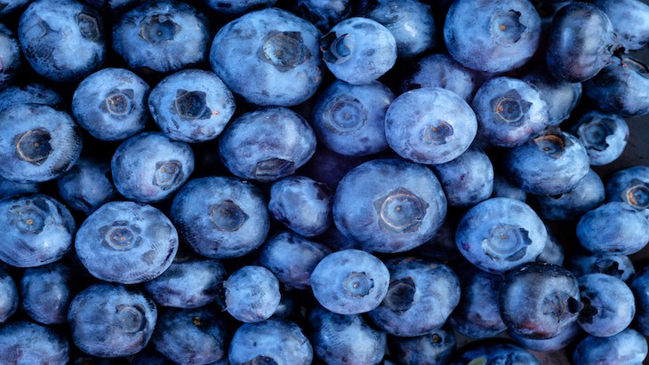 The Hippocratic Post - blueberries