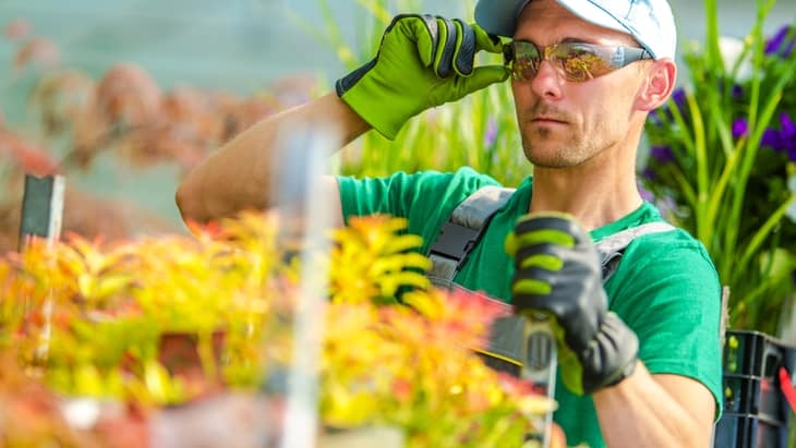 Garden Health and Safety Tips