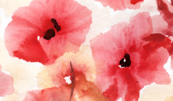 watercolour flower