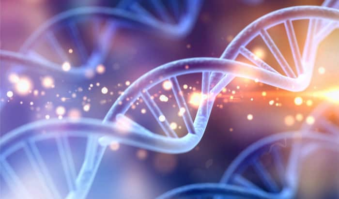 Genetic breakthrough