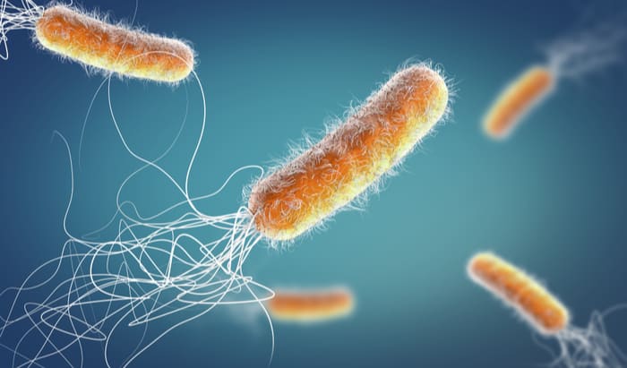 antimicrobial resistant diseases