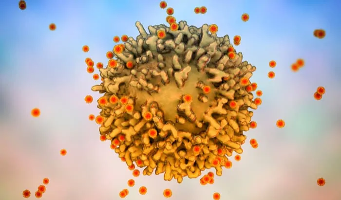 overactive immune cells