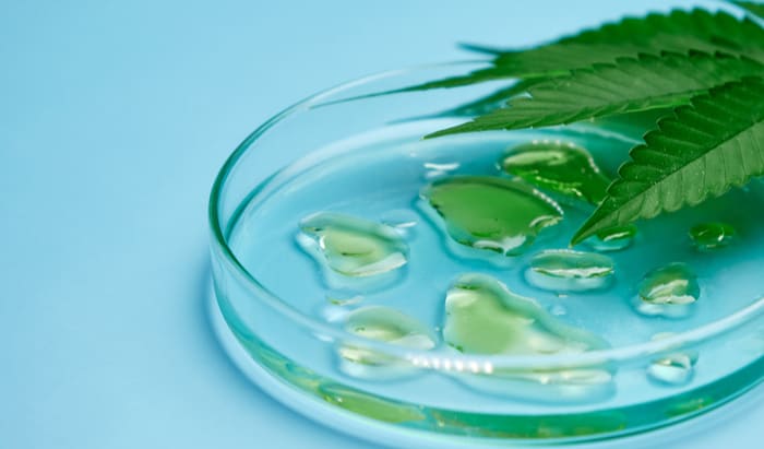 antibiotic potential