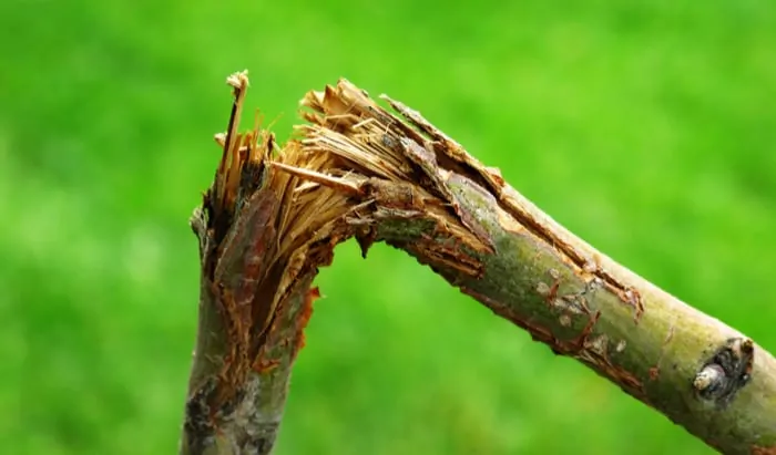 Breaks, sprains and dislocations