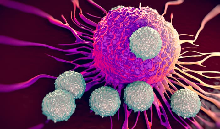 improve immune response