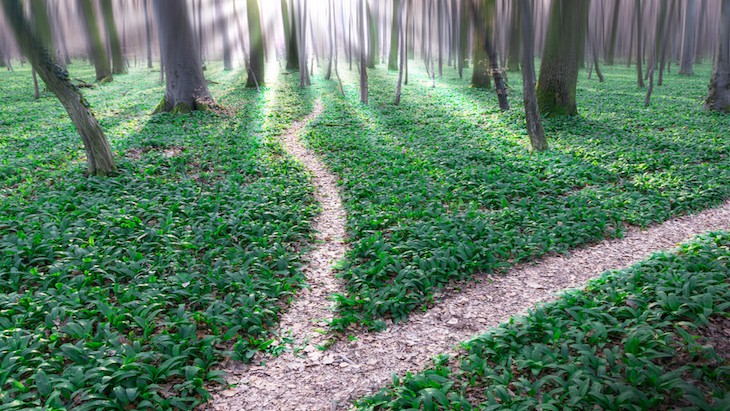 The Hippocratic Post - alternative medicine