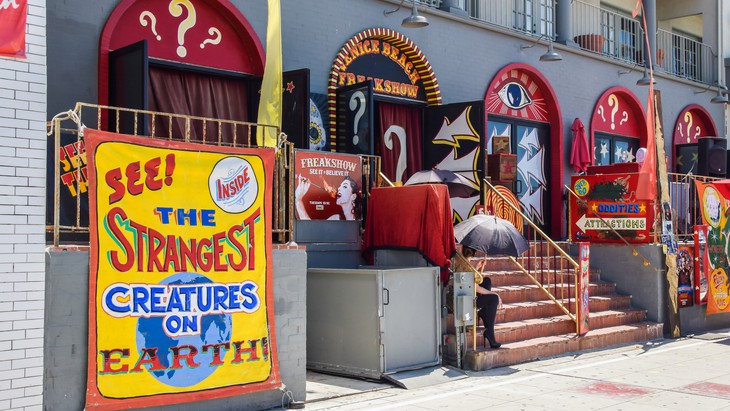 The Hippocratic Post - TV