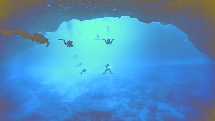 The Hippocratic Post - loss