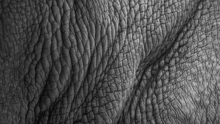 The Hippocratic Post - doctors