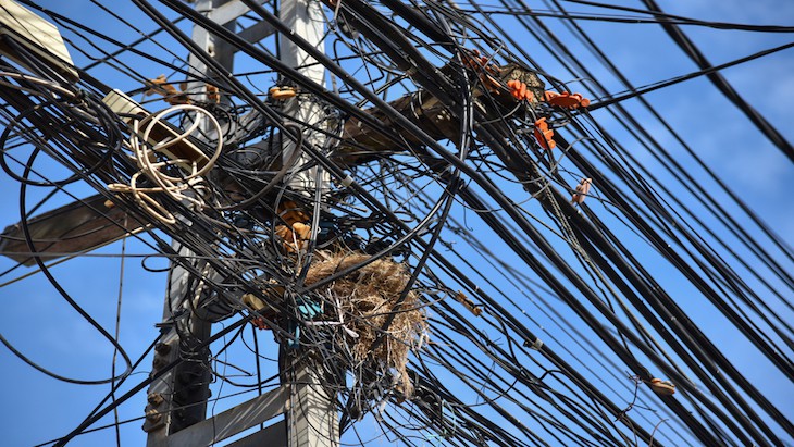 The Hippocratic Post - Alzheimer