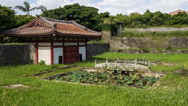 The Hippocratic Post - Okinawa