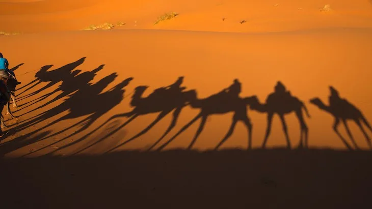 The Hippocratic Post - cigarette