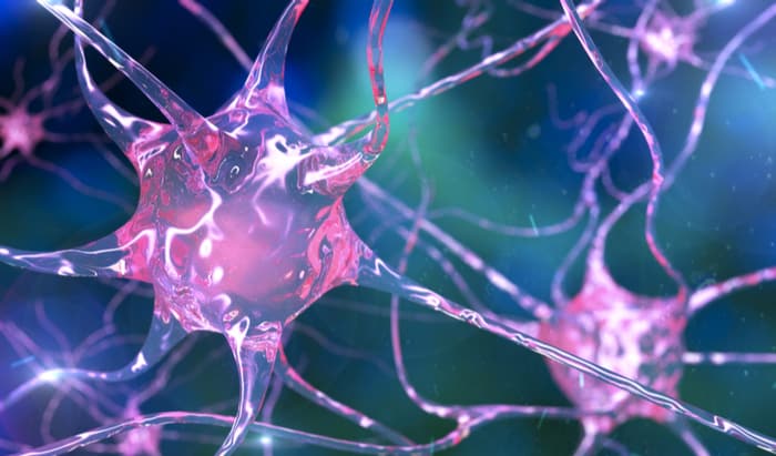 motor neuron disease