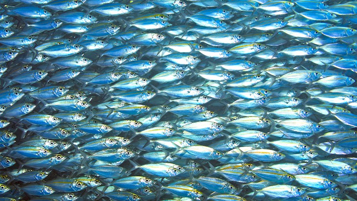 The Hippocratic Post - sperm