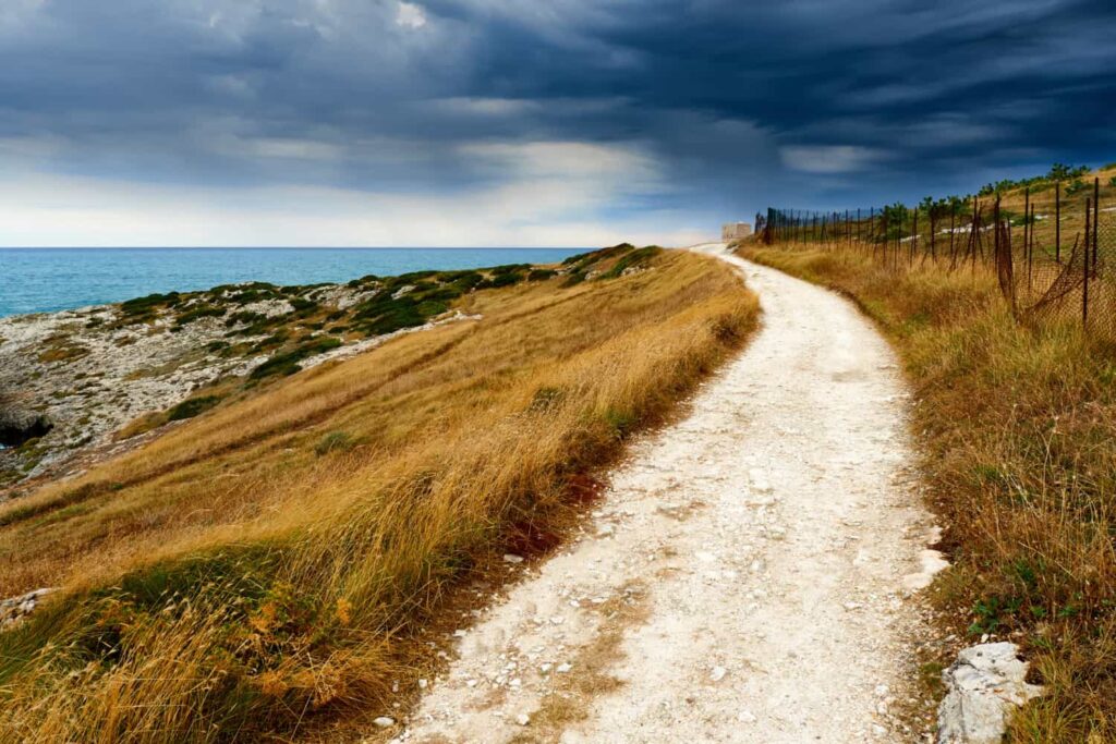 respiratory research