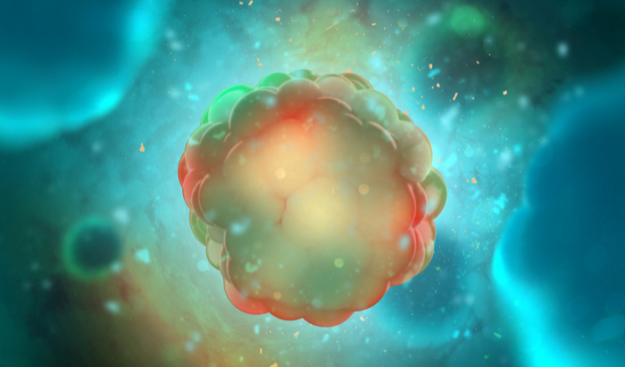 Edinburgh University