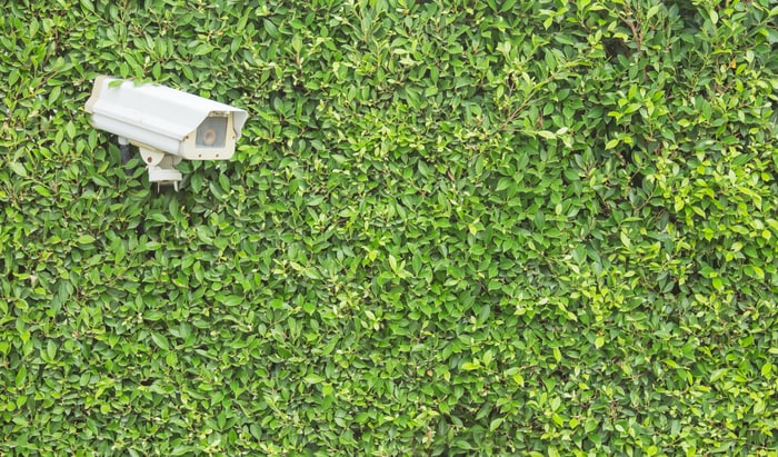 CCTV security Camera on the tree wall in the garden