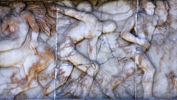 The Hippocratic Post - body type