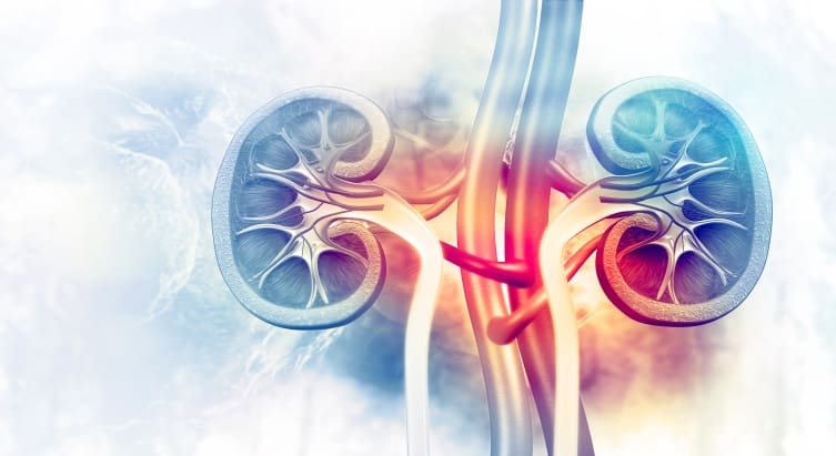 kidney injury