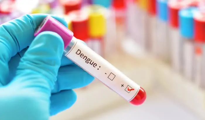 dengue